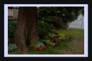 Test_523_b_PROGRAM_-_CENTERED_M_and_F_ISO_-_800_MANUAL_EV_-_0_4_SH_SPLIT_-_G_S_V_F_C.jpg