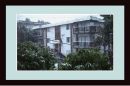 Test_573_PROGRAM_-_QUIET_EV_-_0_ISO_200_AUTO_C.jpg