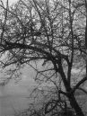 Test_617_a_PROGRAM-_QUIET_-_IVORY_BLACK_PERMANENT_GREEN_B.jpg