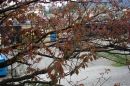 Test_714_a_PROGRAM_NATURAL_ISO_-_100_MANUAL_EV_MINUS_0_3_G_S_V_F_VALUE_6_C.jpg