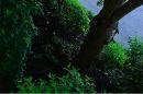 Test_757_a_PROGRAM_-_ISO_-_100_MANUAL_EV_0_FLASH_ALWAYS_ON_WB_-_FLASH_-_C.jpg