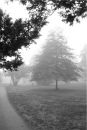 Test_949_PROGRAM_NORMAL_-_White_Umbrella_Exposure_plus_Color_Choice_plus_W_B_B.jpg