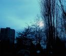 Test_979_PROGRAM_NORMAL_VARUOUS_SHADES_of_BLUE_PATCHES_C.jpg