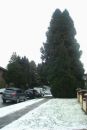Test_995_ALL_AUTO_-_GRISAILLE_-_E_V_set_through_SAP_GREEN_2_C.jpg