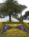 TimeinBloomSFConservatory.jpg