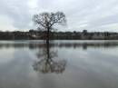 WETHERBY_FLOODS_22_1_2008.jpg