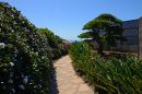 Walkway_at_Swami_ARC_4292.jpg