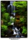 WaterfallOrton.jpg