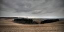 Wiltshire_Downs_2.jpg