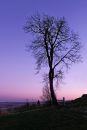 XT220264M_resize.JPG