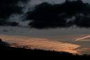 XT224379M.JPG