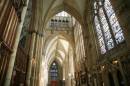 YORKMIN60119_edited-1.jpg