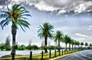 albertparklake.jpg