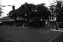 black_and_white_winter_park_11-25-2007.jpg