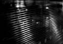 blinds_.JPG