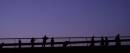 bridge5.jpg