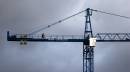 crane_walker_sml.jpg