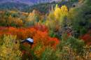 fall.jpg