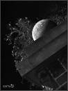 fallen_moon.jpg