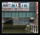fishing_in_manchester.jpg