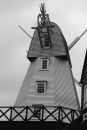 image74.jpg