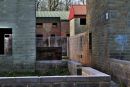 imber_edited-1.jpg