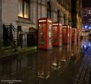lr_0024_E1_wpf.jpg