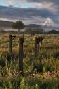 old_fence_posts.jpg