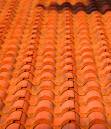 roof_.jpg