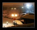 snowysheffield1fw.jpg