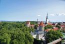 tallin_9-7-13.jpg