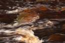 waterstroke1.jpg