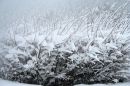 winter4.jpg