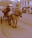 026_S_SKAGWAY_EDIT_-_INSTANT_EFFECTS.jpg