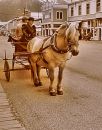 026_S_SKAGWAY_EDIT_-_INSTANT_EFFECTS1.jpg