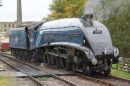 181014ELR_042.JPG