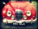 3294820271_1a2b73805b_edited-1.jpg