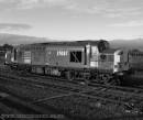 37087.jpg