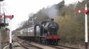 44422andsignalssml.jpg