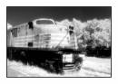8-7-2009_011edit2world.jpg