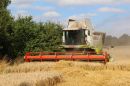 ASW_Cropcare_Limited_Claas_Lexion_620_Class_Lexion_560_24-8-2016_41_.jpg