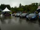 A_padock_full_of_Veyrons.jpg