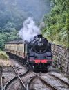 B-R_STANDARD_80072_AT_GOATHLAND.jpg
