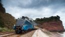 Bittern_-_Teignmouth.jpg