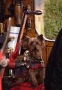 Bluebell_Railway_290204_254.jpg