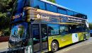 Bus_800.jpg