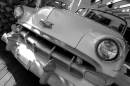 CRW_8095.jpg