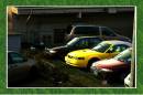 Canary_Colored_Mustang.jpg