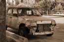 DSC00212a.jpg