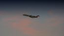 DSC05909.jpg